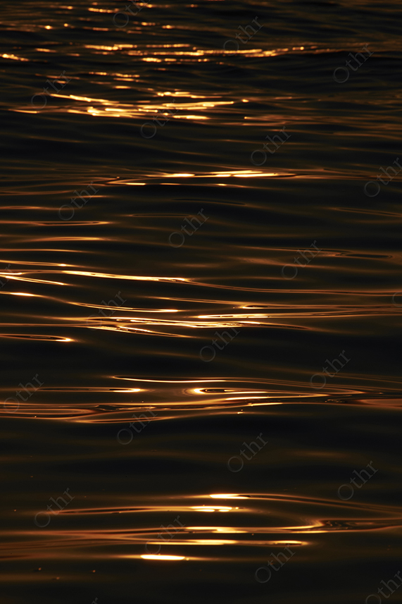 Golden Sunlight Reflections on Gentle Ocean Ripples