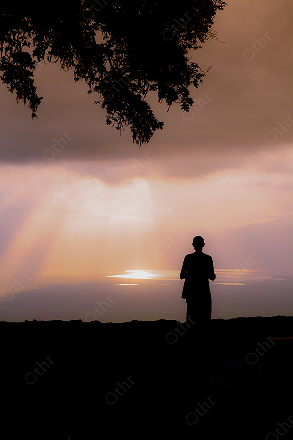 Silhouette of Person Standing Beneath Tree at Sunset Over Water