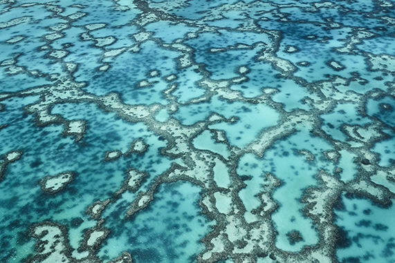 Aerial Coral Networks Across Clear Blue Shallow Ocean