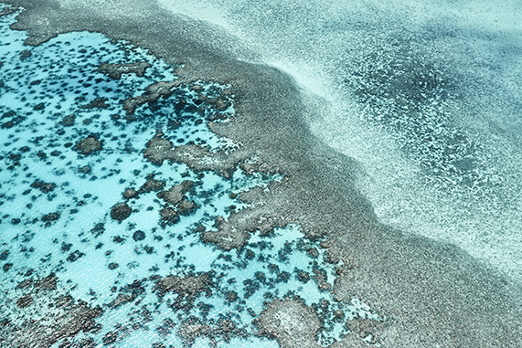 Aerial View of Coral Edge Transitioning Into Shallow Sand Flats