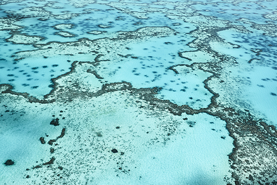 Aerial Shallow Coral Formations Over Pale Blue Seabed