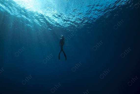 Freediver Floating Beneath Sunlit Ocean Surface in Deep Blue Water
