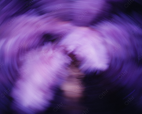 Palm Tree in Motion Blur at Night