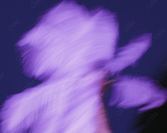 Palm Tree in Motion Blur at Night