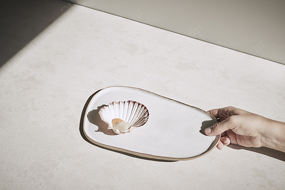Hand Holding a Ceramic Tray With a Seashell in Soft Studio Sunlight