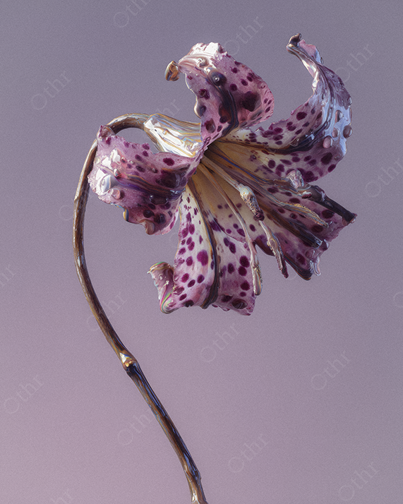 Curved Speckled Lily With Glossy Paint Finish Against a Pale Purple Backdrop