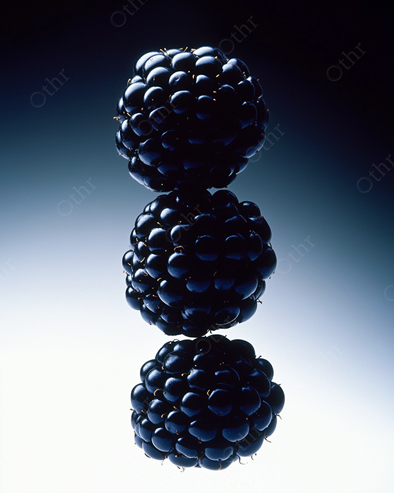 Floating Blackberries with Dramatic Studio Lighting
