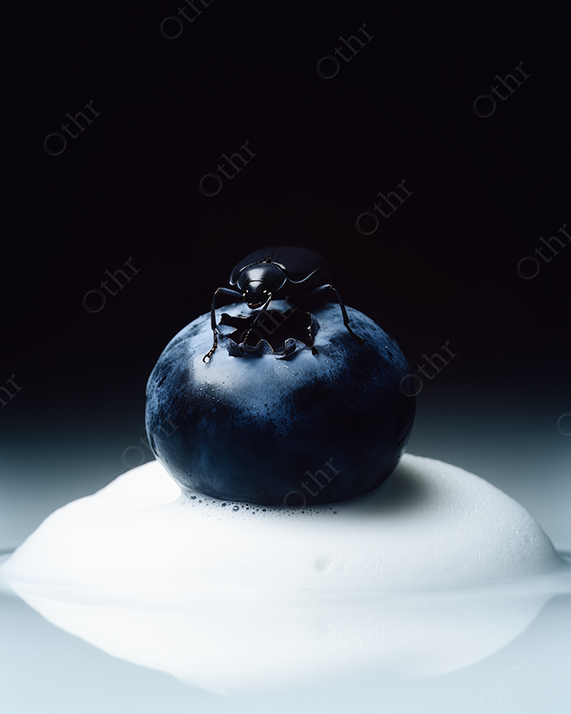 A beetle on a blueberry with foam beneath it with dramatic studio lighting.