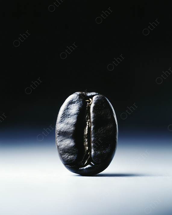 An isolated coffee bean with dramatic studio lighting.