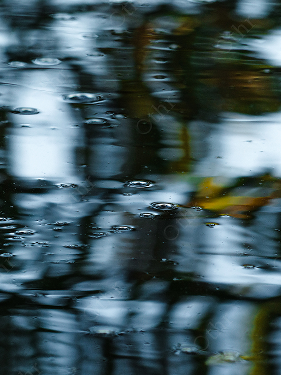 Rain Droplets on Reflective Water Surface With Blurred Trees