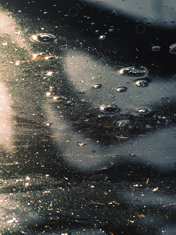Sunlit Water Surface With Floating Bubbles and Soft Reflections