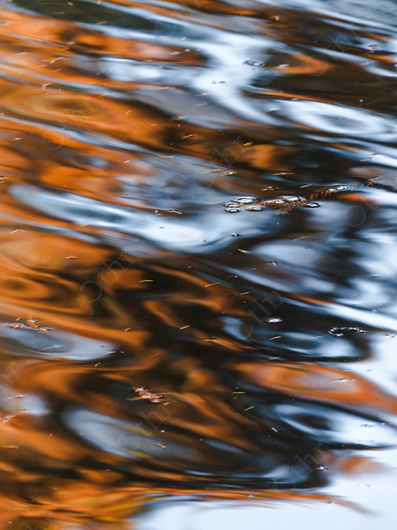 Autumn Colours Reflected on Gently Rippling Water