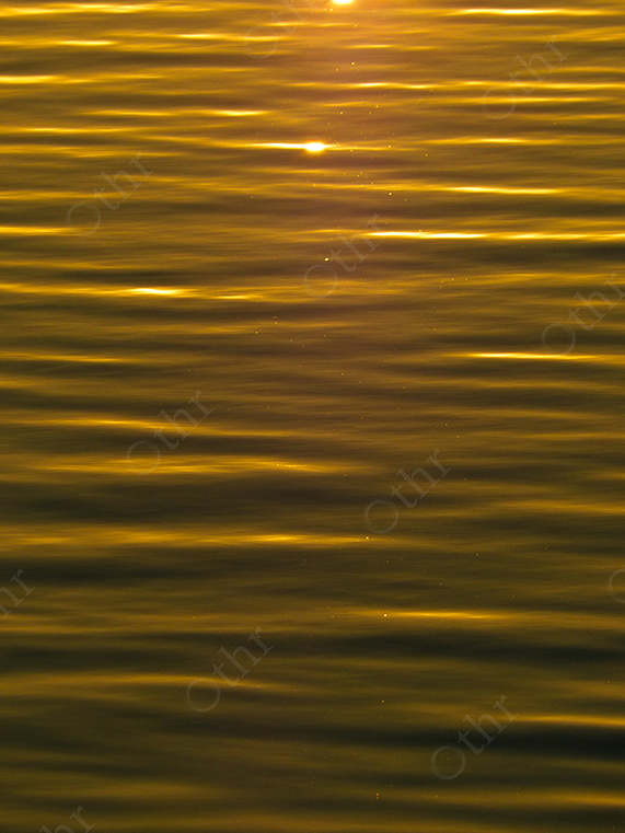 Golden Sunlight Reflected on Gently Rippling Water