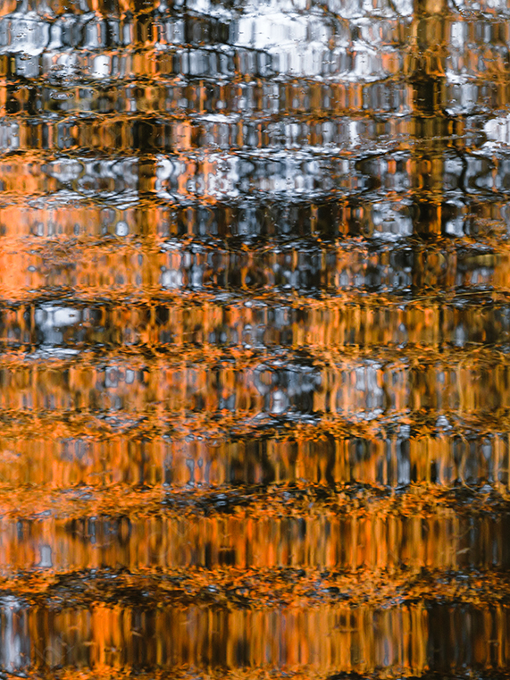 Abstract Reflection of Autumn Colours Rippled Across Water Surface