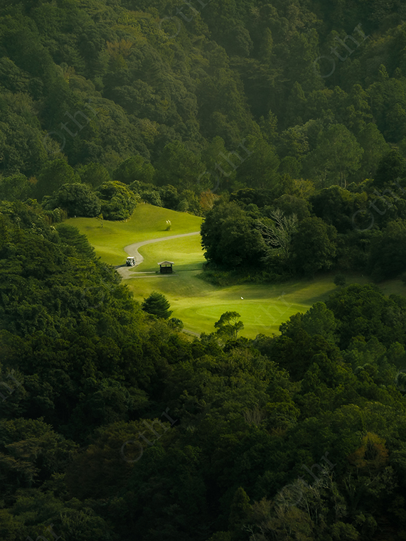 Sunlit Golf Course Clearing Surrounded by Dense Green Forest