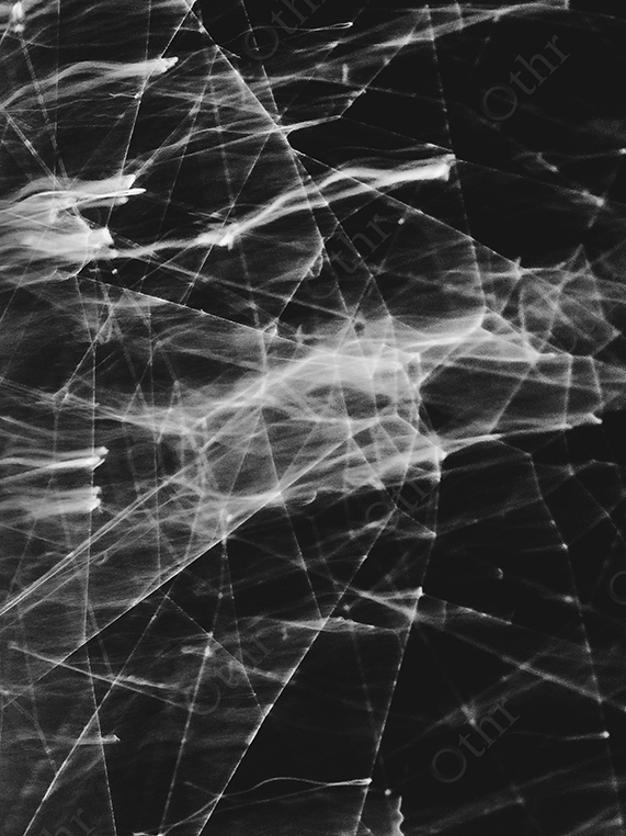 Abstract Web-Like Light Patterns in Monochrome