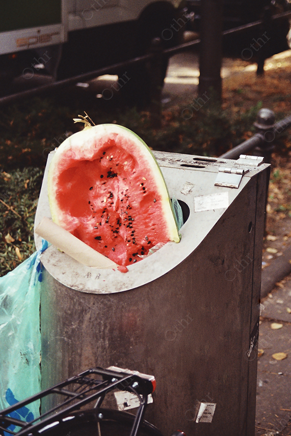 Discarded Watermelon Half Resting on Metal Street Bin Beside Bicycle in Daylight
