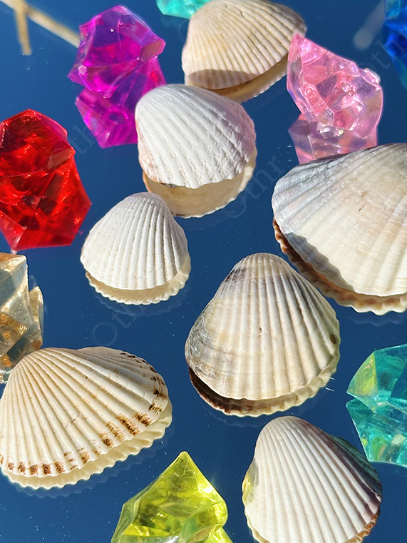 White Seashells Arranged With Transparent Acrylic Crystals on Blue Reflective Surface