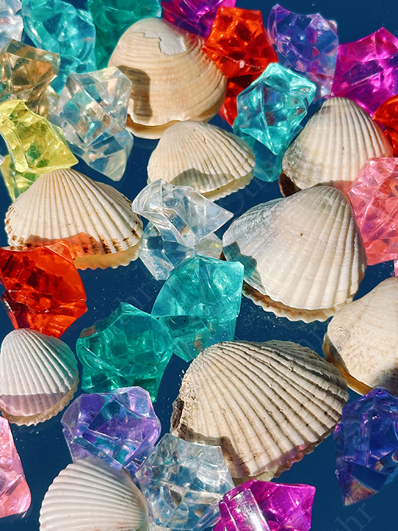 White Seashells Intermixed With Transparent Acrylic Crystals on Blue Reflective Background