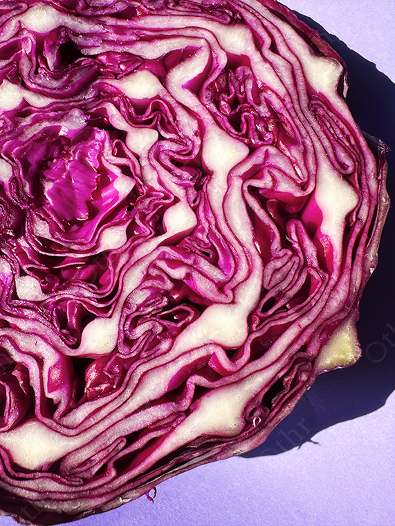 Close-Up of Sliced Red Cabbage Showing Layered Purple and White Texture on Lavender Background