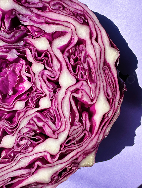 Close-Up of Sliced Red Cabbage Showing Curled Purple and White Layers on Lavender Background