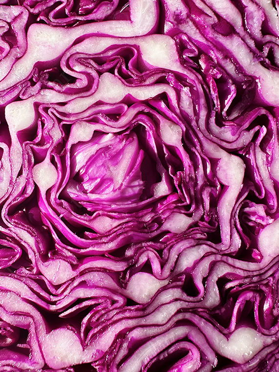Extreme Close-Up of Red Cabbage Cross Section With Dense Purple and White Curled Layers
