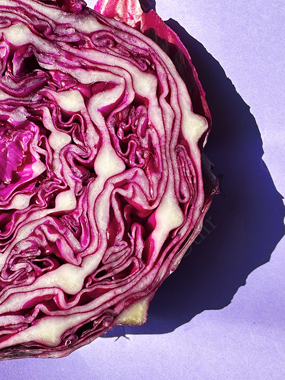 Close-Up of Sliced Red Cabbage With Curled Purple and White Layers Casting Shadow on Lavender Background