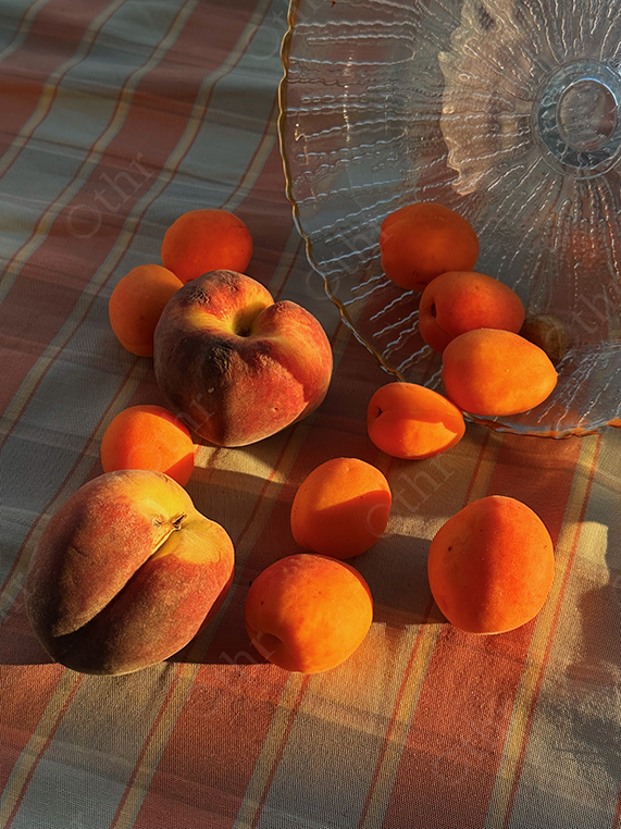 Peaches and Apricots Arranged on Striped Fabric Beside Glass Plate in Warm Sunlight