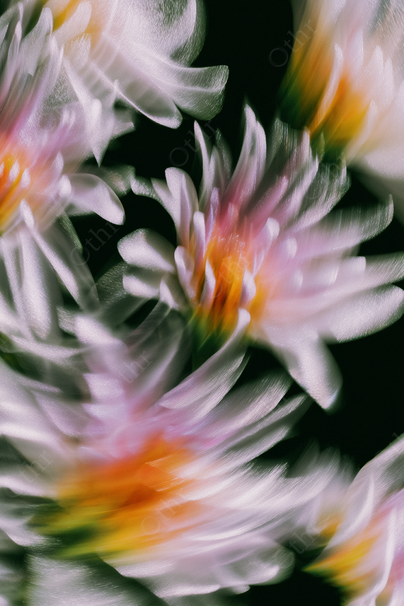 Blurred swirl of pink and orange flowers with silver highlights