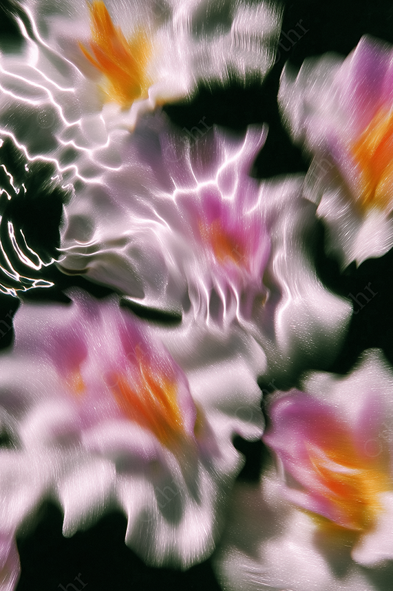 Blurred swirl of pink and orange flowers with silver highlights