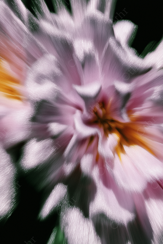 Blurred swirl of pink and orange flowers with silver highlights