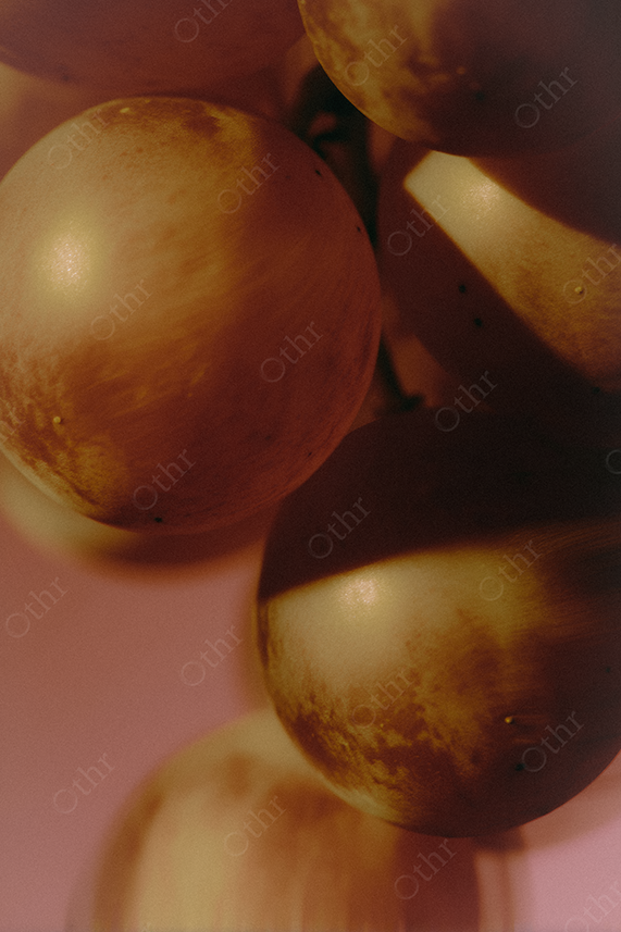 Close up of grapes on the vine.