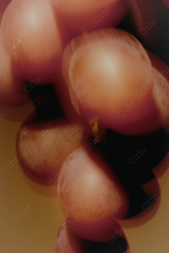 asset