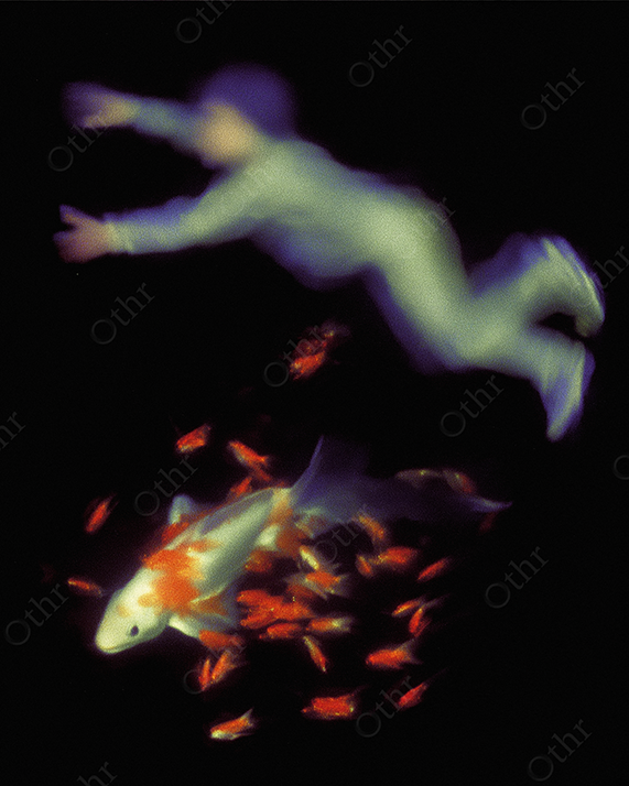 Surreal swimmer surrounded by koi in dark water