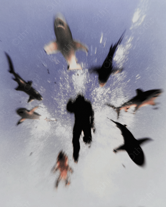 Diver with sharks underwater in dreamlike swirl