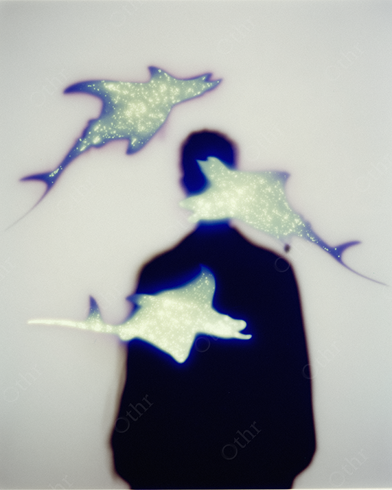 Silhouette facing manta rays suspended in white abyss