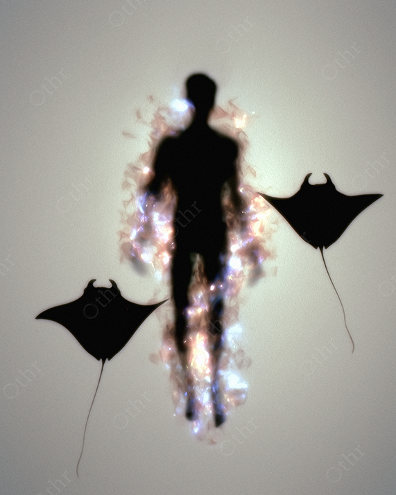 Dreamy Silhouette of Person Swimming with Manta Rays