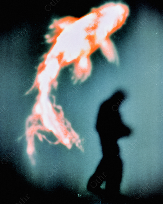 Dreamy silhouette of a person with a large orange koi fish in the foreground