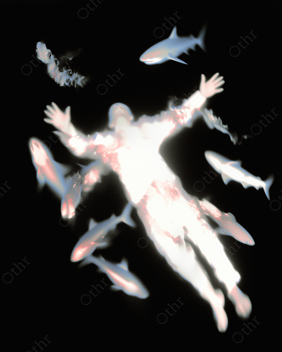 Dreamy Silhouette of Person Surrounded by Sharks