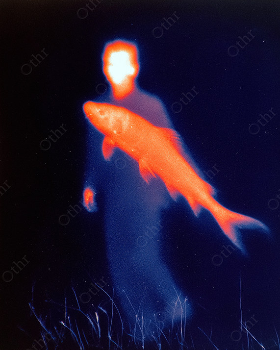 Dreamy silhouette of a person with a large orange fish in the foreground