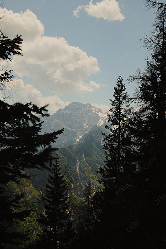 Mountain Peak Framed by Pine Trees Under Partly Clouded Sky