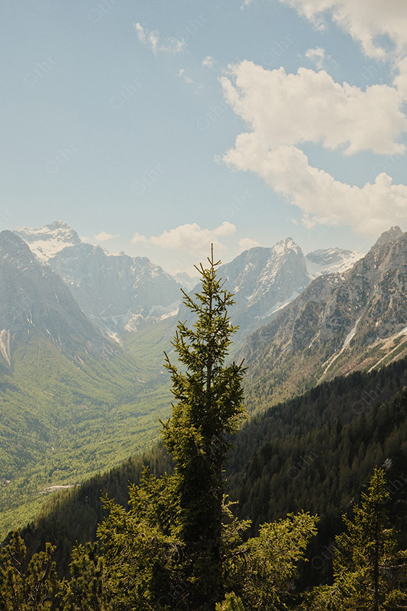 Alpine Valley With Evergreen Tree Overlooking Mountain Slopes