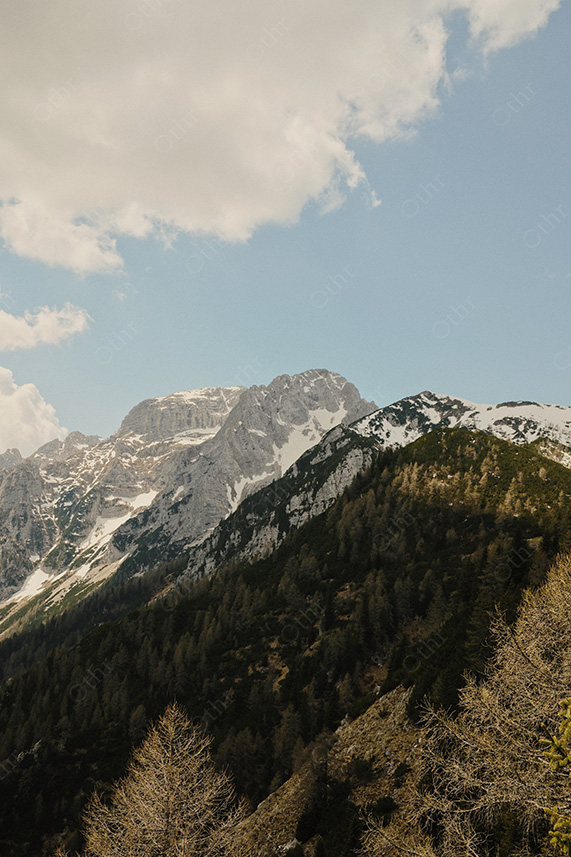 Snow-Capped Mountain Ridge Above Forested Hills Under Soft Daylight