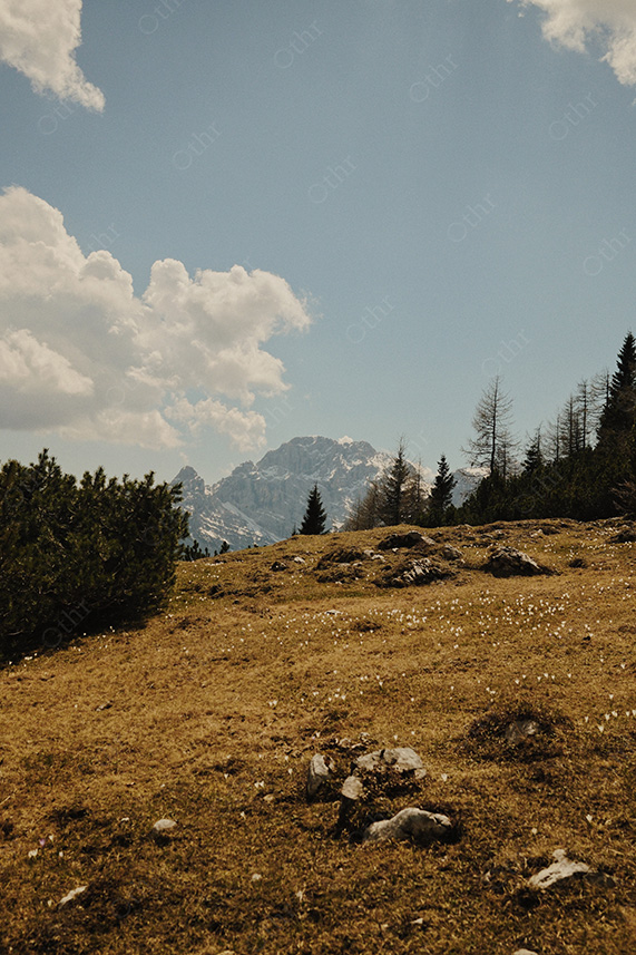Open Alpine Meadow With Distant Mountains Beneath Partly Clouded Sky