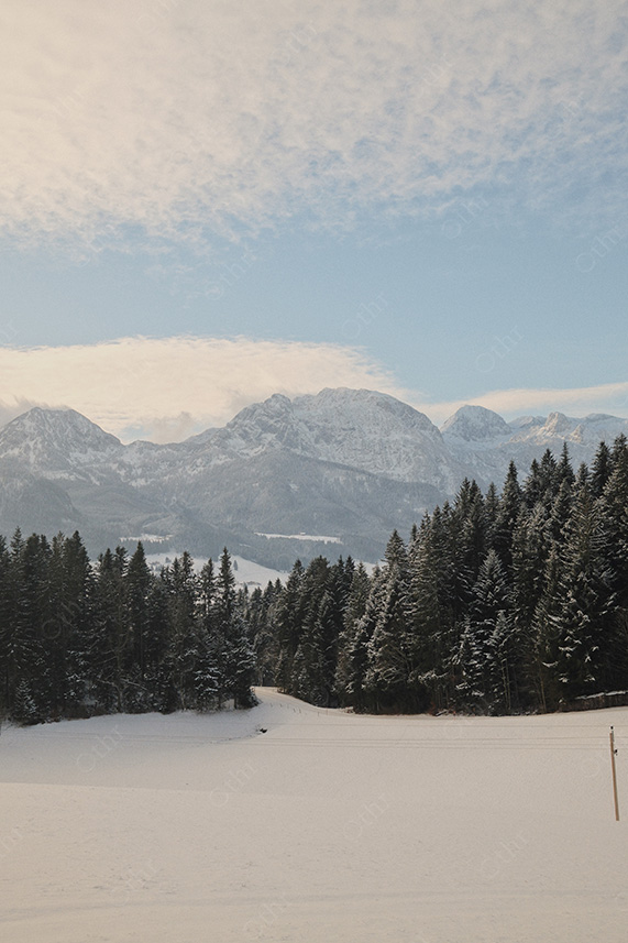 Snowy Forest Edge Framing Mountain Range Under Clouded Sky
