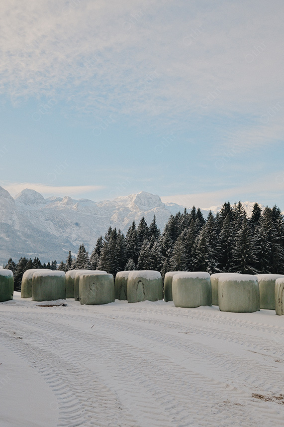 Wrapped Hay Bales Lined Along Snowy Track With Forest and Mountains
