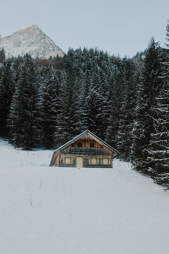 Wooden Alpine Cabin Surrounded by Snow-Covered Pine Forest