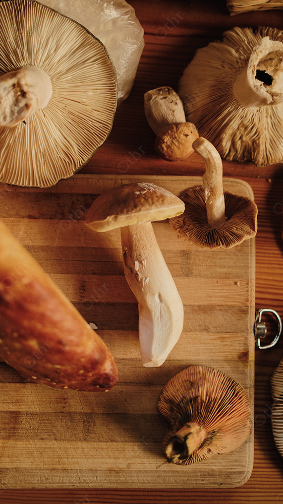 Fresh Foraged Mushrooms Arranged on Wooden Cutting Board