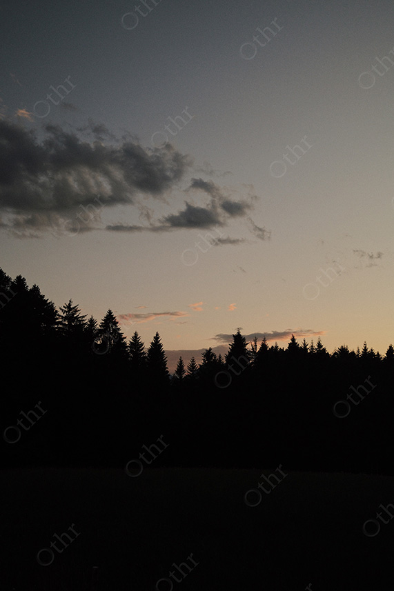 Silhouetted Pine Forest Beneath Dusk Sky With Fading Light and Scattered Clouds