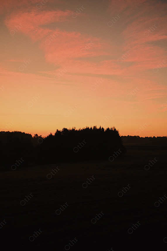 Dark Woodland Silhouette Against Orange and Pink Sunset Sky
